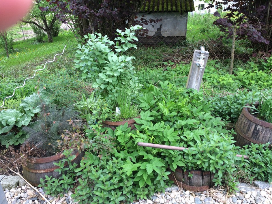 Processed with Rookie